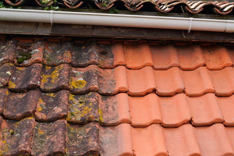 Roof Restoration Service
